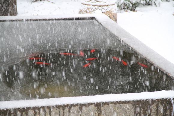 Fish Pond, Wheatridge Farm