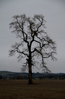 Farmington Rd, Washington Co. OR