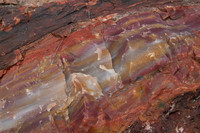 Petrified wood, AZ