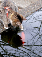 Gone Fishing