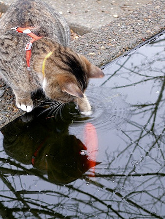 Gone Fishing