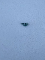 Time to call for a plow!